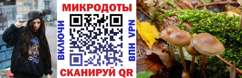 дарк нет Telegram Зея Галлюциногенные грибы мухоморы